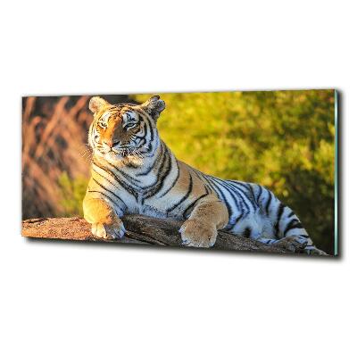 Glass wall art large Portrait of a tiger