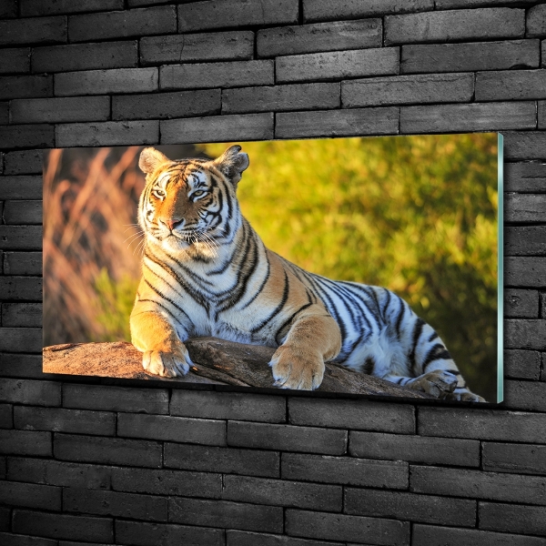 Glass wall art large Portrait of a tiger