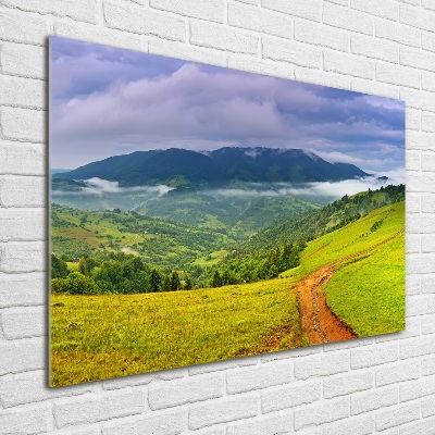 Glass art print Green hills