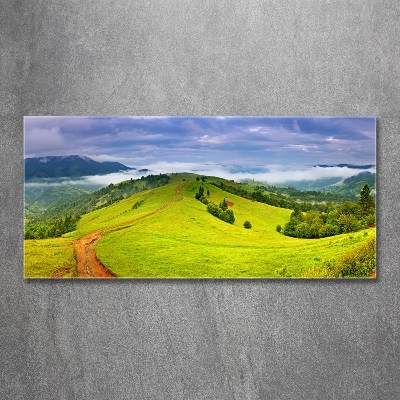 Glass art print Green hills