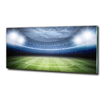 Glass art print Stadium