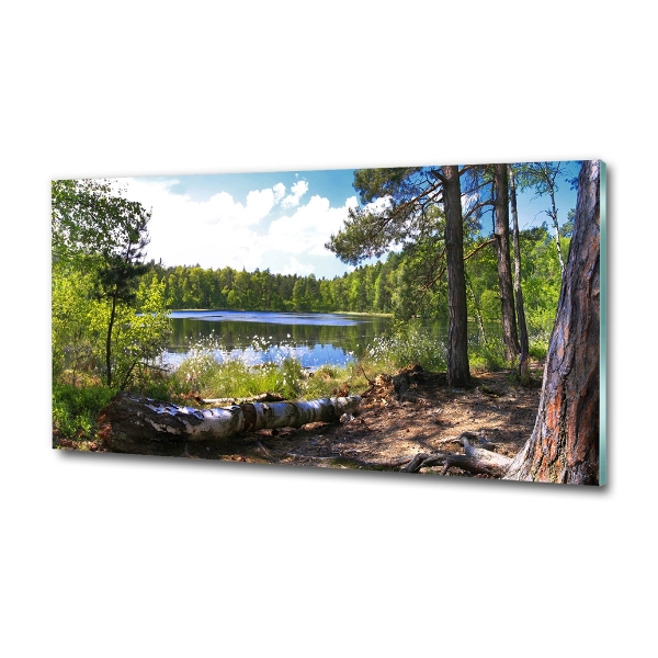 Wall art on glass Forest panorama