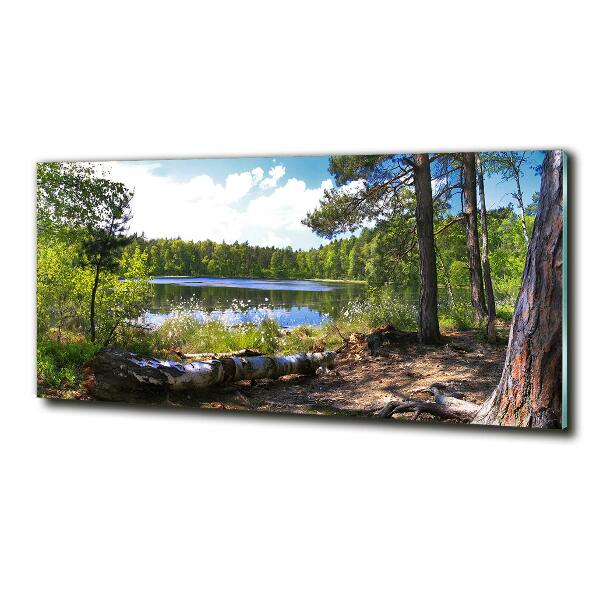 Wall art on glass Forest panorama