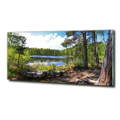 Wall art on glass Forest panorama