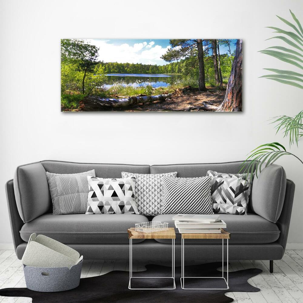 Wall art on glass Forest panorama