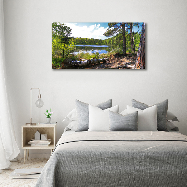 Wall art on glass Forest panorama