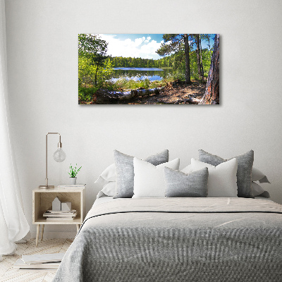 Wall art on glass Forest panorama