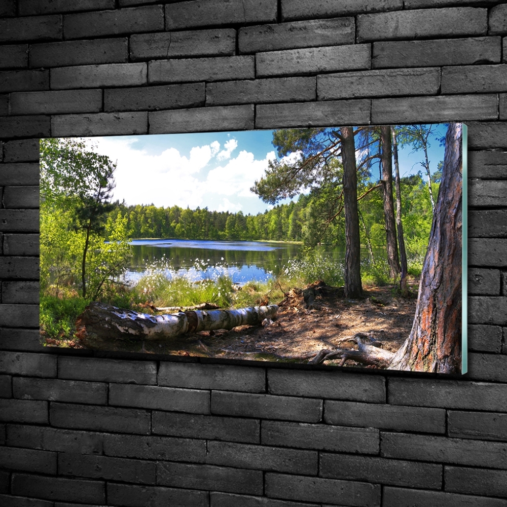 Wall art on glass Forest panorama