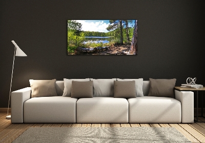 Wall art on glass Forest panorama