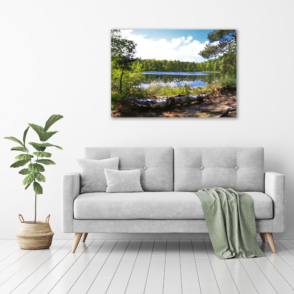 Wall art on glass Forest panorama