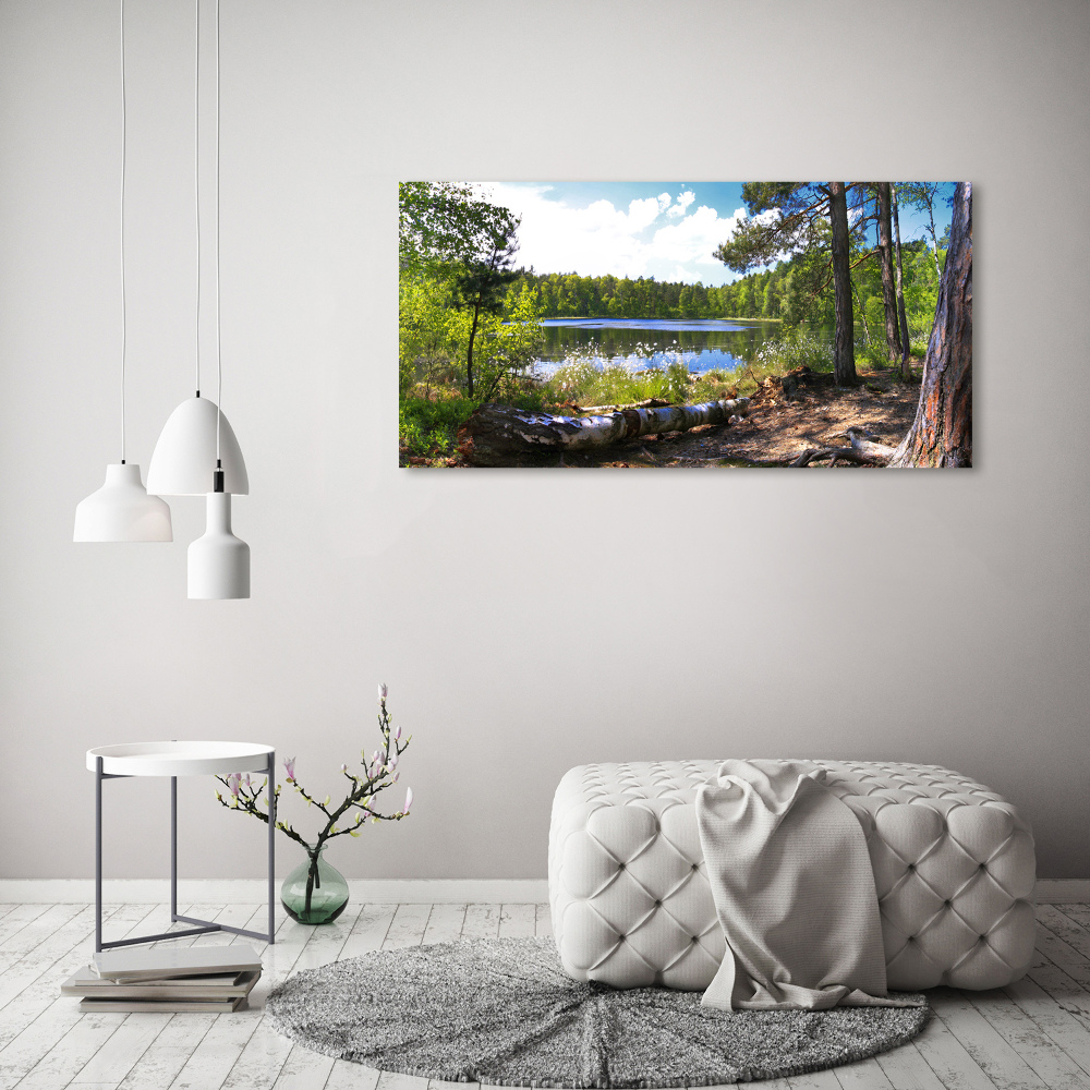 Wall art on glass Forest panorama