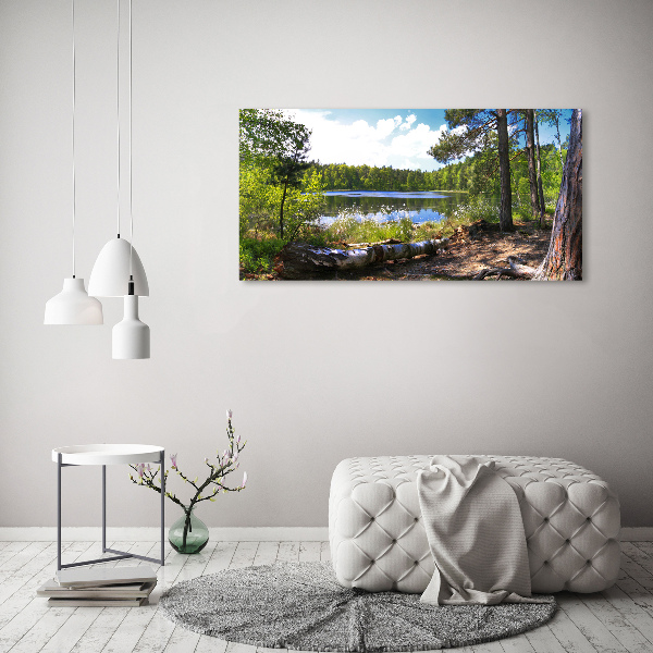 Wall art on glass Forest panorama