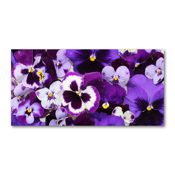 Wall art on glass Pansies