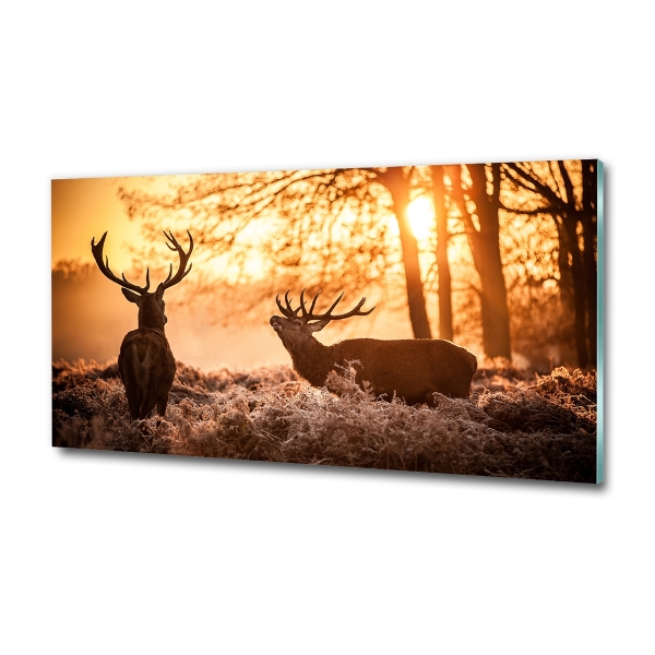 Glass wall art large East deer