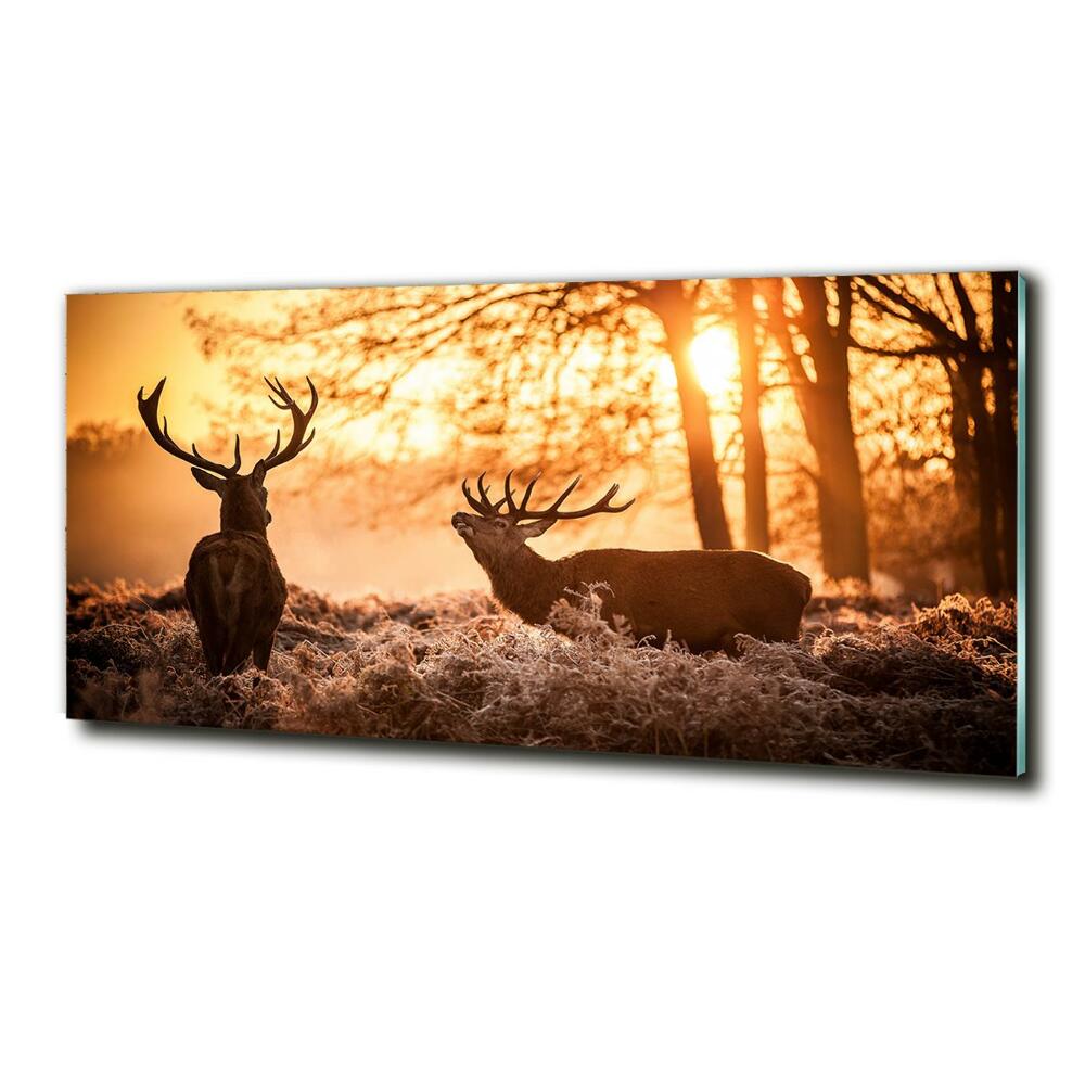 Glass wall art large East deer