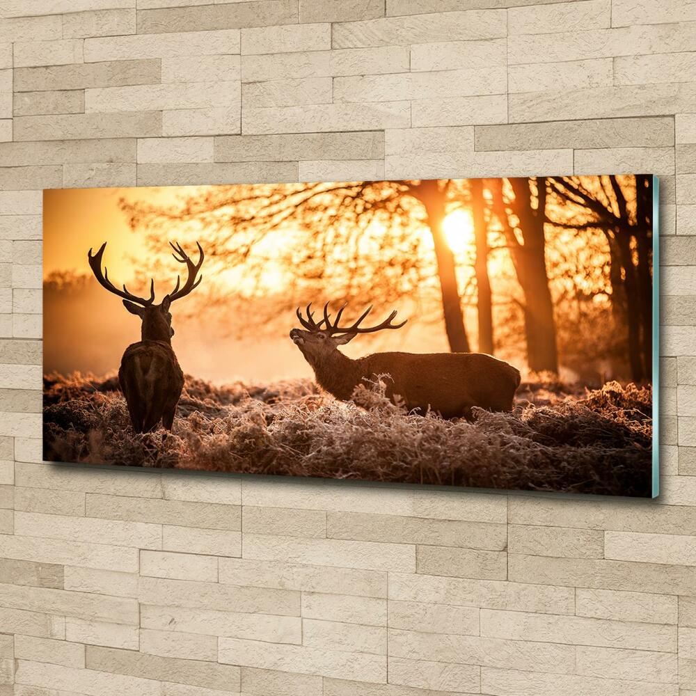 Glass wall art large East deer