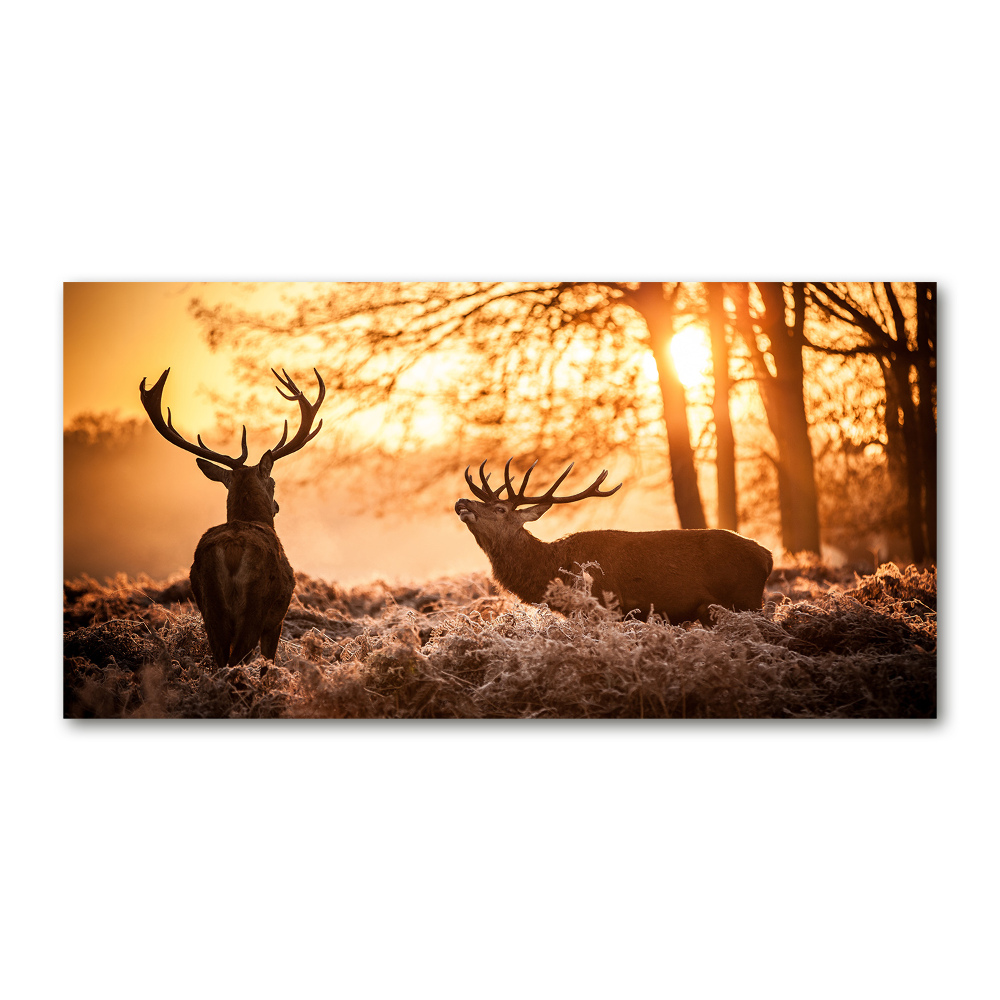 Glass wall art large East deer