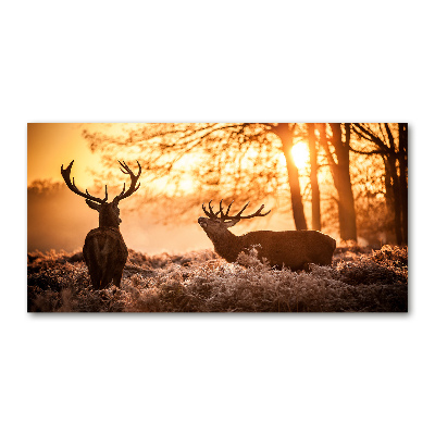 Glass wall art large East deer