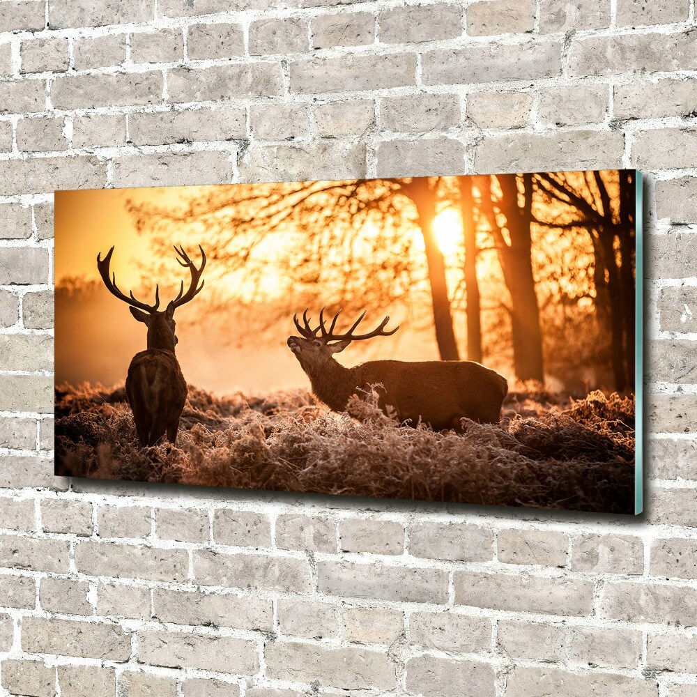 Glass wall art large East deer