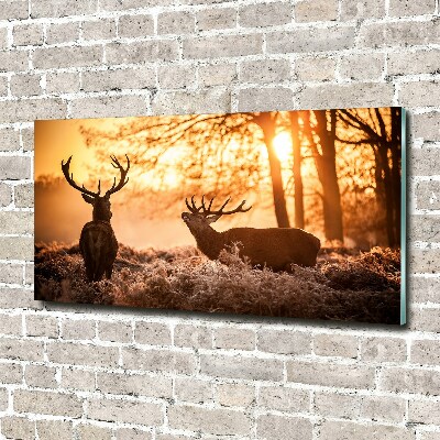 Glass wall art large East deer