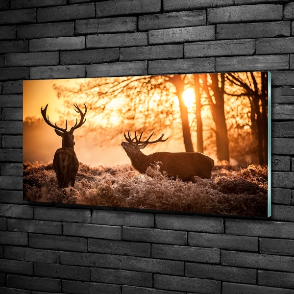 Glass wall art large East deer