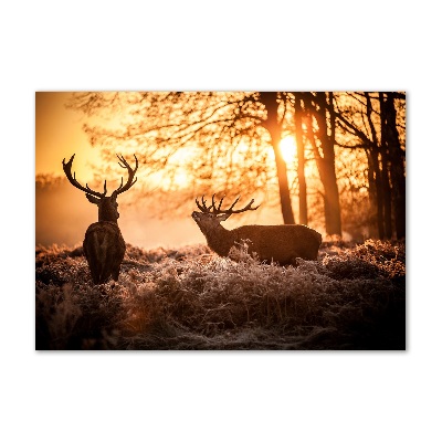 Glass wall art large East deer