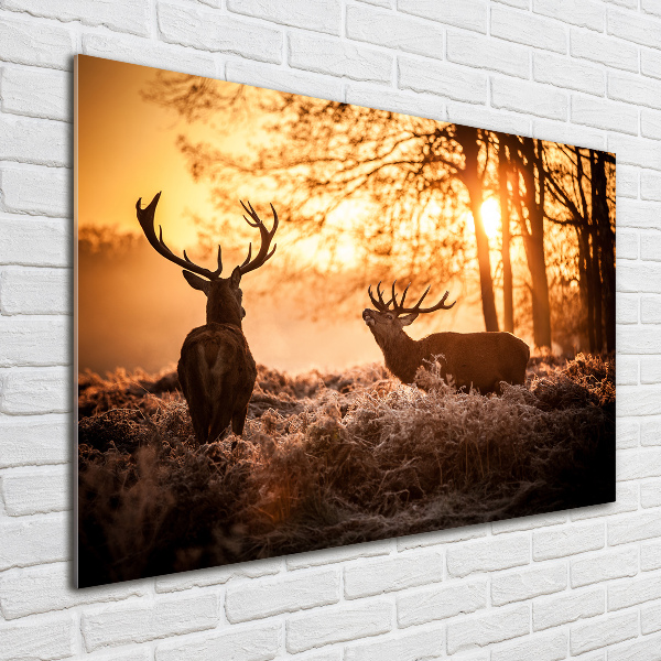 Glass wall art large East deer