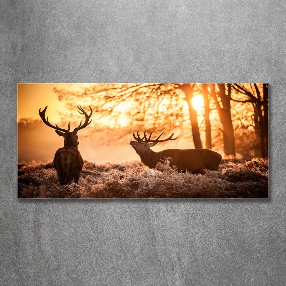 Glass wall art large East deer