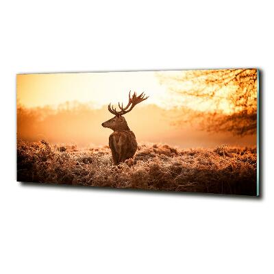 Glass wall art large Deer sunrise