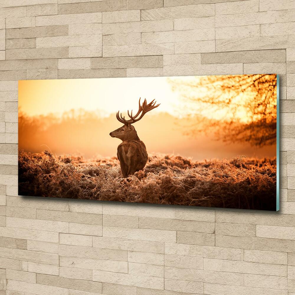 Glass wall art large Deer sunrise