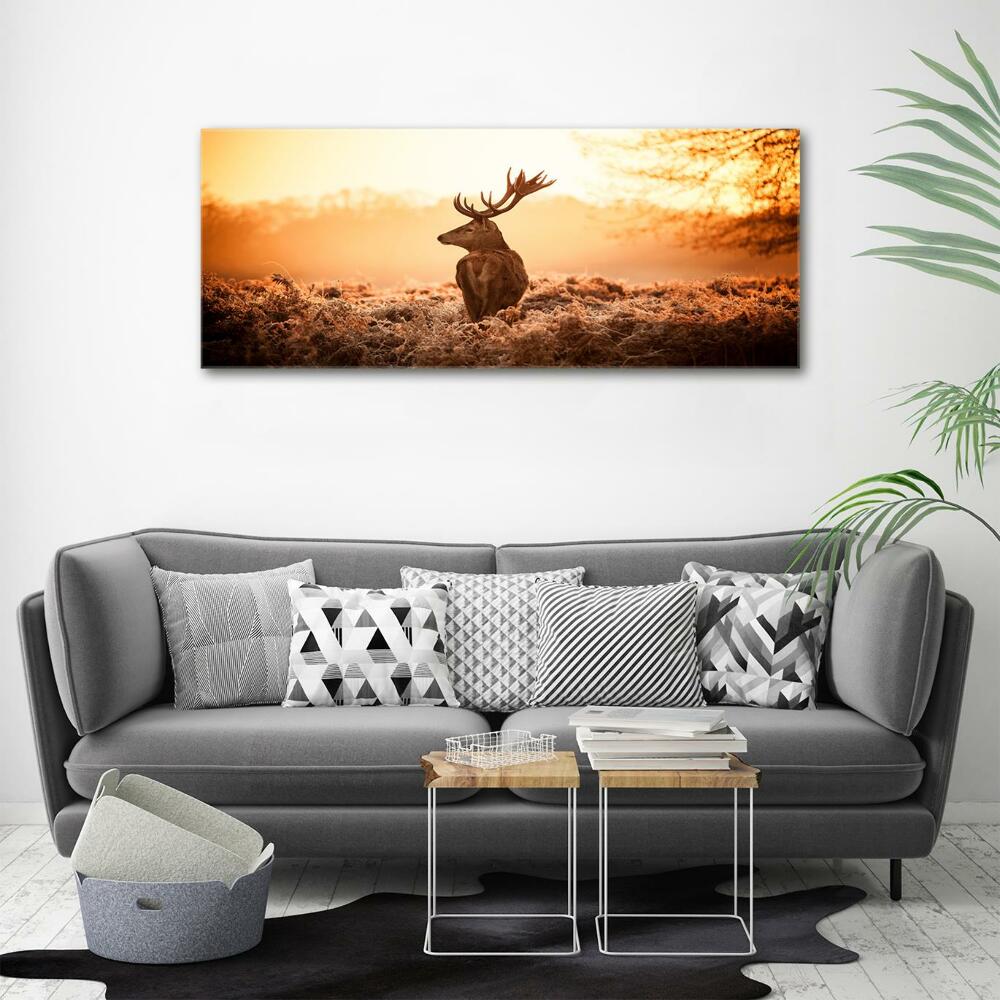 Glass wall art large Deer sunrise