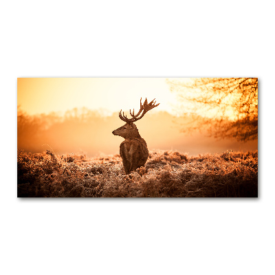 Glass wall art large Deer sunrise