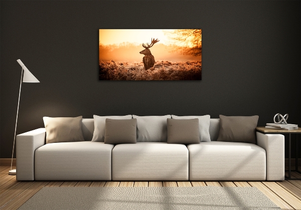 Glass wall art large Deer sunrise