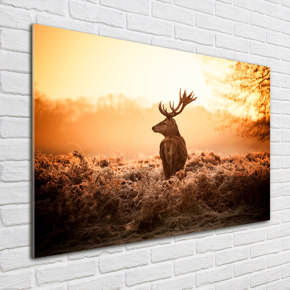 Glass wall art large Deer sunrise