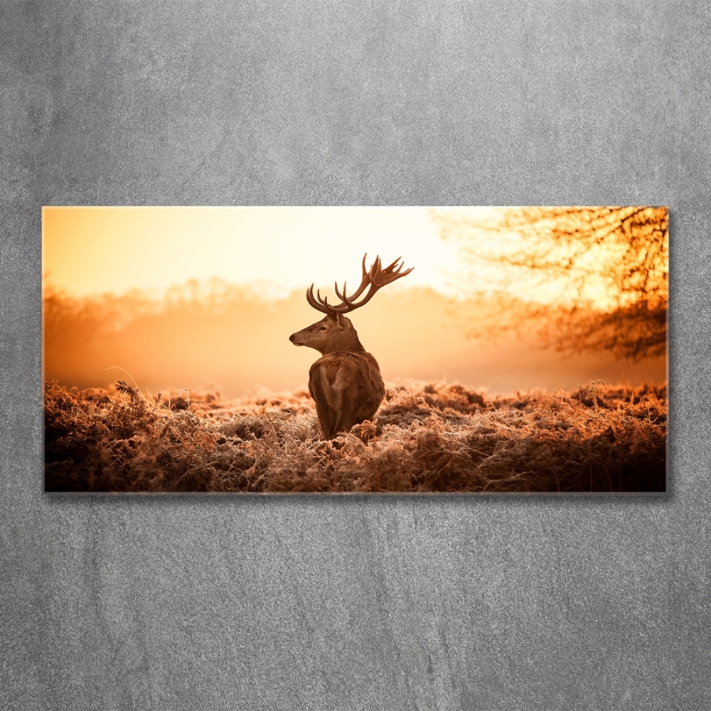 Glass wall art large Deer sunrise