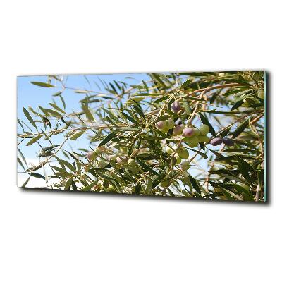 Glass wall art Olive tree