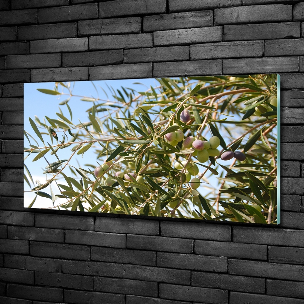 Glass wall art Olive tree