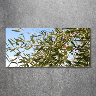 Glass wall art Olive tree