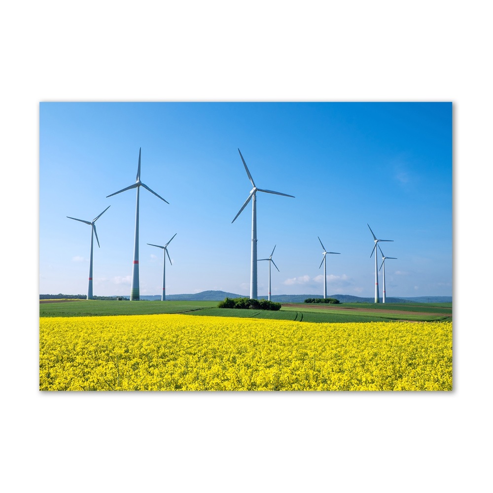 Glass wall art Windmills in the field