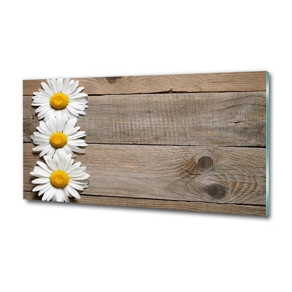 Wall art on glass Daisy wood