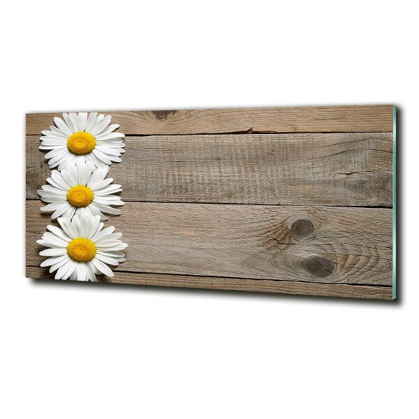 Wall art on glass Daisy wood