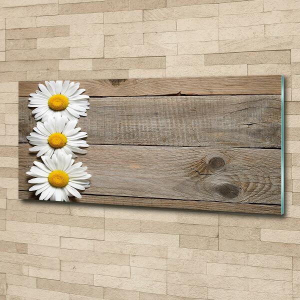 Wall art on glass Daisy wood