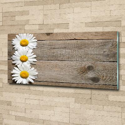 Wall art on glass Daisy wood