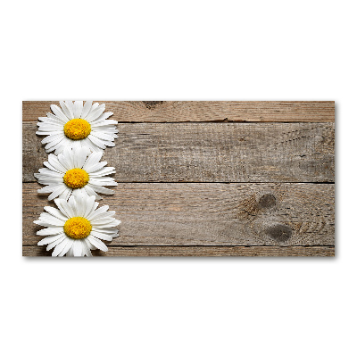 Wall art on glass Daisy wood