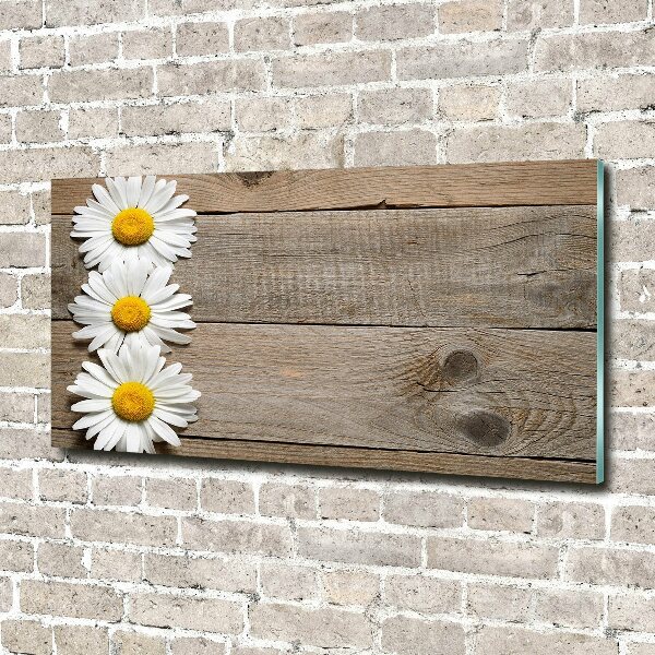 Wall art on glass Daisy wood