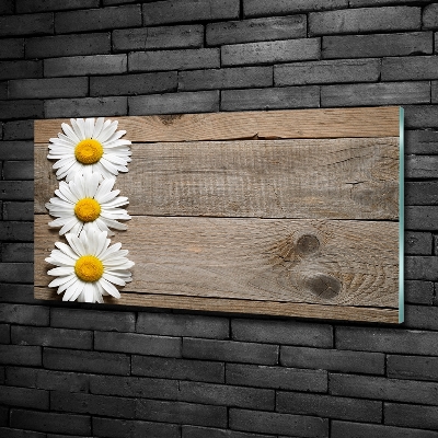 Wall art on glass Daisy wood