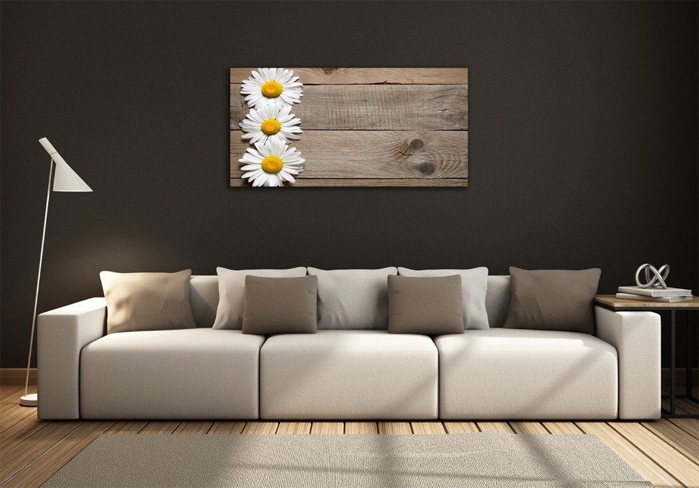 Wall art on glass Daisy wood