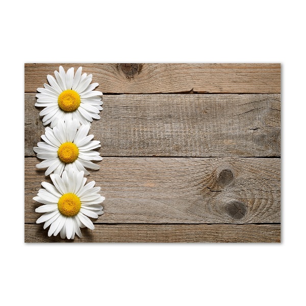 Wall art on glass Daisy wood