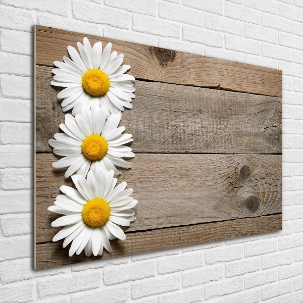 Wall art on glass Daisy wood