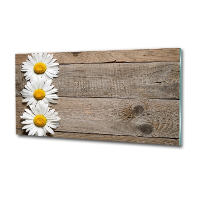 Wall art on glass Daisy wood